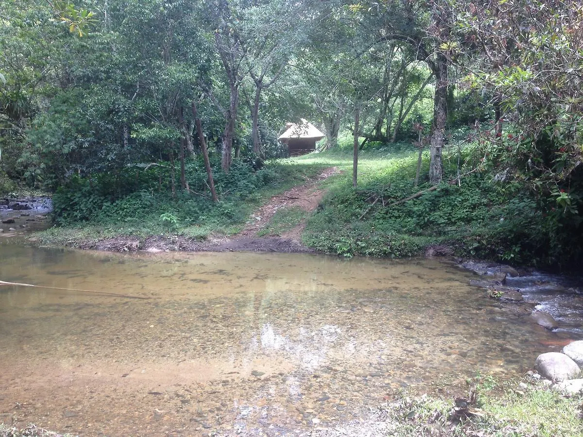 بيت خشبي جاراباكو Ebano Verde Waterfall And Ecolodge